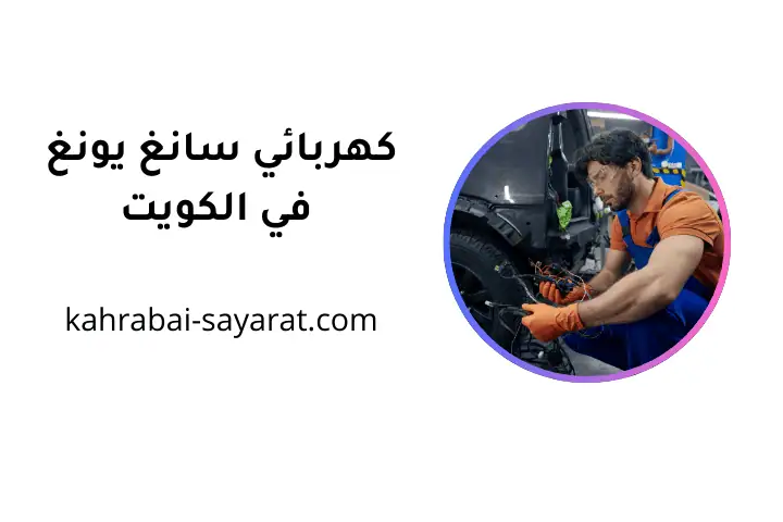 خدمة كهربائي سانغ يونغ