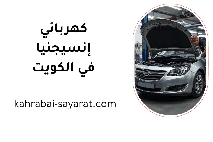 شركة كهربائي إنسيجنيا